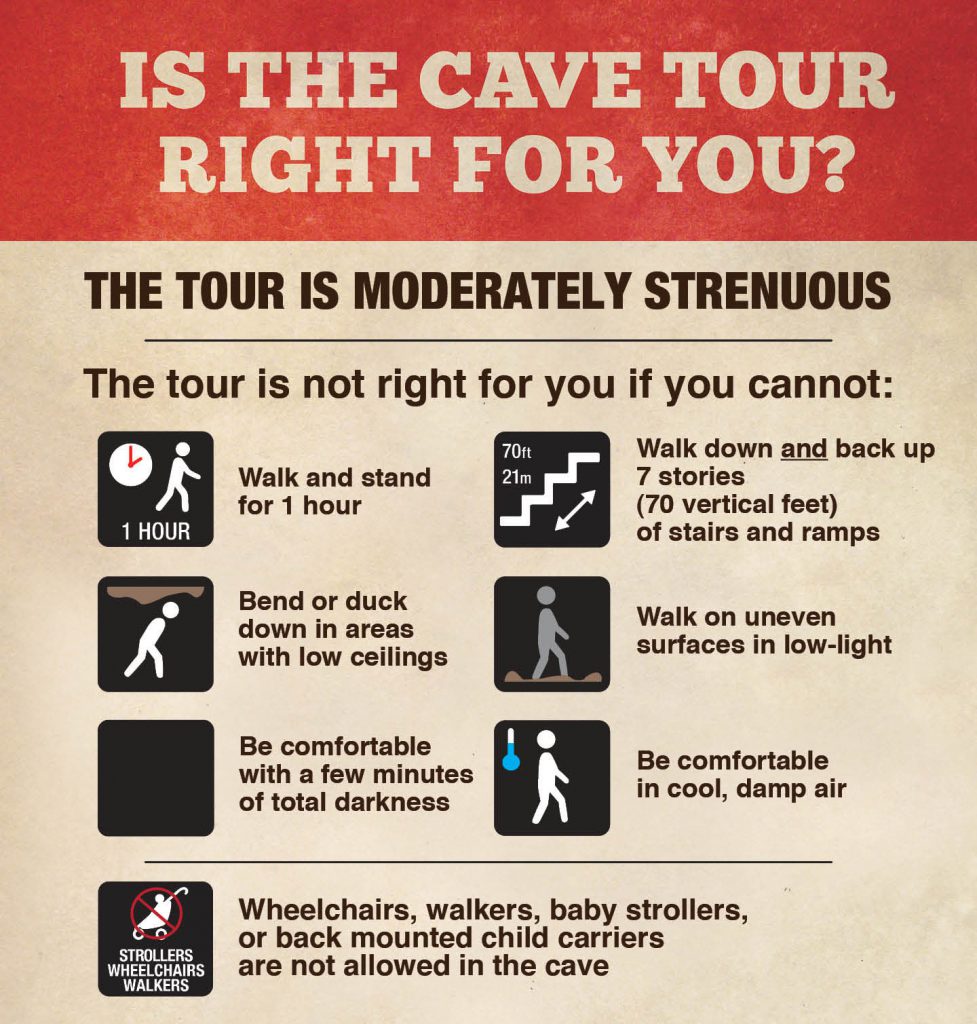 Is the Tour For You